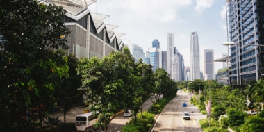 绿叶城市照片