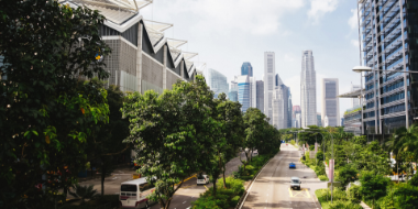 绿树成荫的市中心